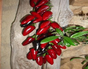 a string of red chillis