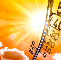 Keeping elderly people well during a heatwave. This image is predominantly yellow in colour. It shows a blazing sun which is white with strong yellow and orange rays. There is a little fluffy white cloud to the bottom left of the image and a large slightly curved temperature gauge to the right. It is showing the temperature to be in the mid 40's